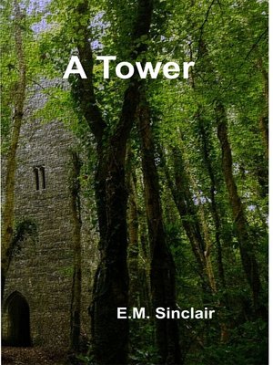 cover image of A Tower Book 11 Circles of Light